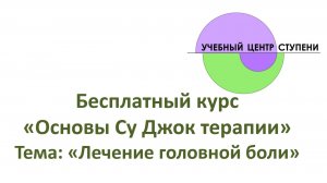 Су Джок бесплатный курс. Лечение головной боли