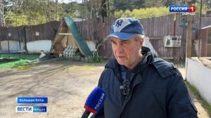 В Гаспре строят приют для кошек