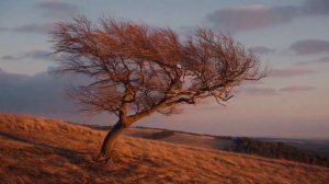 СКРЫТЫЙ ПОРТАЛ. ТЕХНО.