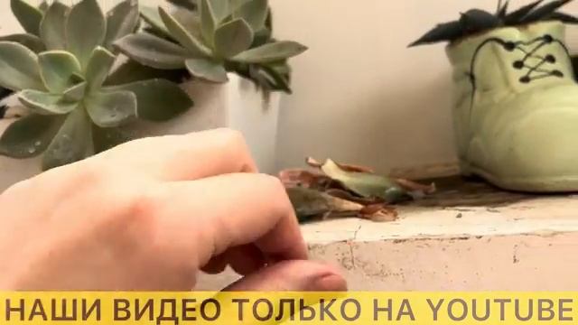 НАКОНЕЦ-ТО УЗНАЛА ПРАВДУ НАС НАКАЗАЛИ ЗА ЧУЖУЮ ОШИБКУ