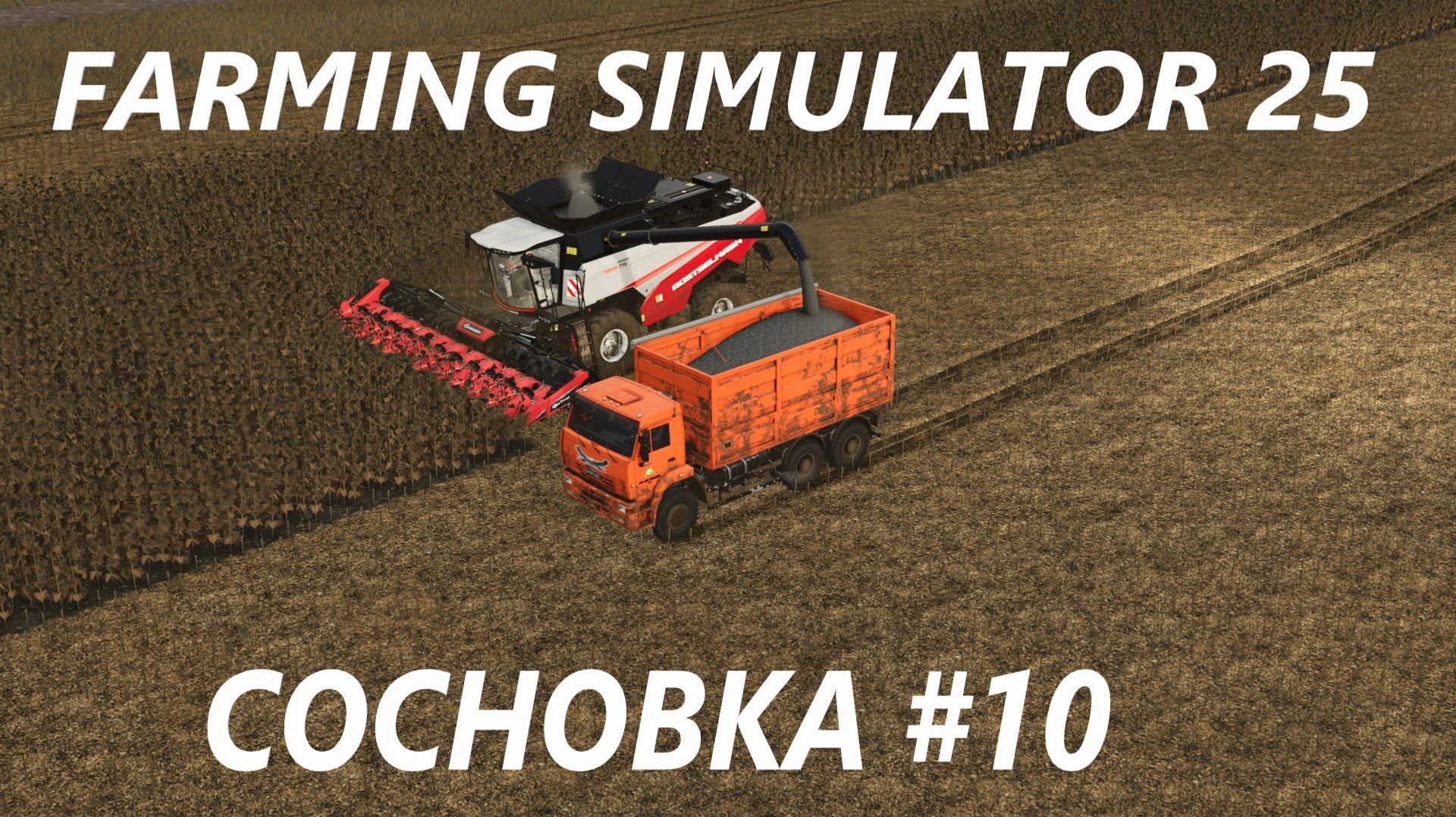 Farming Simulator 25. Сосновка #10.
