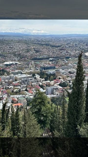 document_5438163341086333225