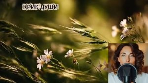 Сломанное крыло.