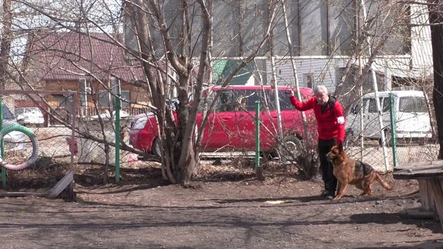 КАВАЛАДИ ДОМИНИКА смотреть онлайн