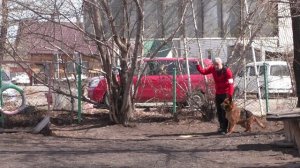 КАВАЛАДИ ДОМИНИКА