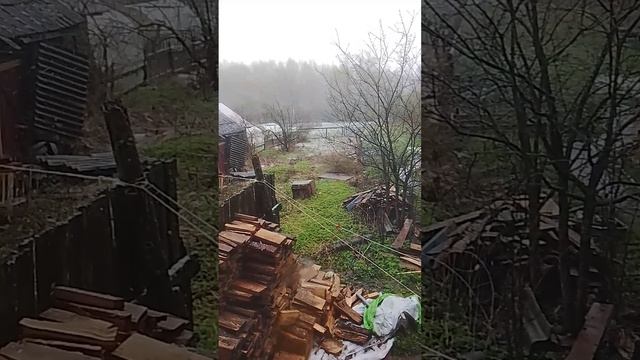 варенички, пельмешечки,надюшка приболела