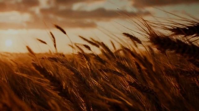 Солнечная моя, радостная