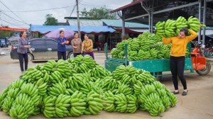 Использую грузовик, чтобы купить много бананов у местных жителей. На деревенском рынке, продаём их.