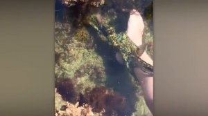 ОТПУСК ПОШЁЛ НЕ ПО ПЛАНУ САМЫЕ НЕЛЕПЫЕ МОМЕНТЫ В ПУТЕШЕСТВИЯХ [get.gt]