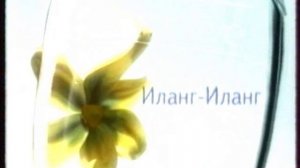 Рекламный блок (ОНТ, 27.04.2003) + Анонс Контуры