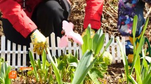 От неудобств ― к порядку