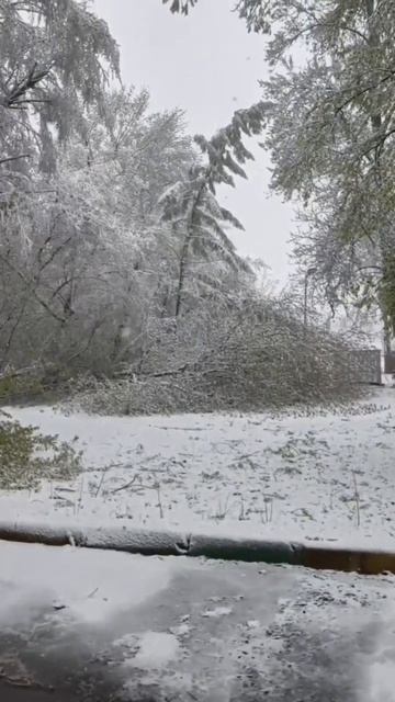 Апрельский снегопад накрыл Москву и Подмосковье (4)