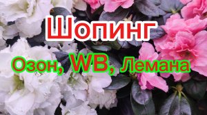 Шопинг: Озон, Вайлдберриз, Лемана