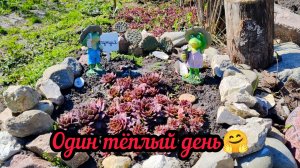 ☀️ Выдался один теплый день.Работаю в огороде🤗