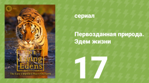 Первозданная природа. Эдем жизни 17 серия (документальный сериал, 1997)