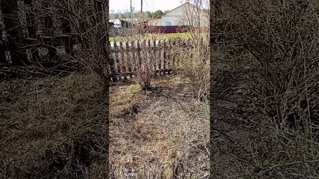 Главное начать ☺️. Немного поработала 👍. Хорошего дня 😉.