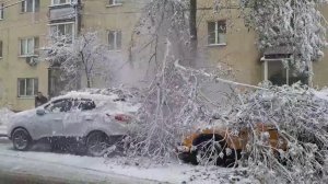 В Москве побиты три погодных рекорда.