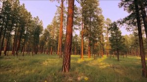 Редкий шанс 27 апреля - Пропустите этот день, потеряете месяц.