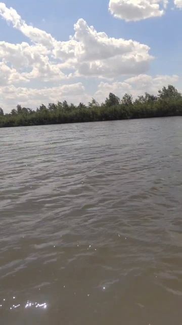 Первый улов. Запомнится на всю жизнь
