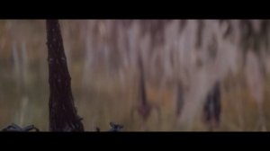 хищник планета смерти (фильм, 2025)Изгнание Дека. Конфликт с отцом и старшим братом.