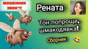 Тон попроще, шмакодявка!