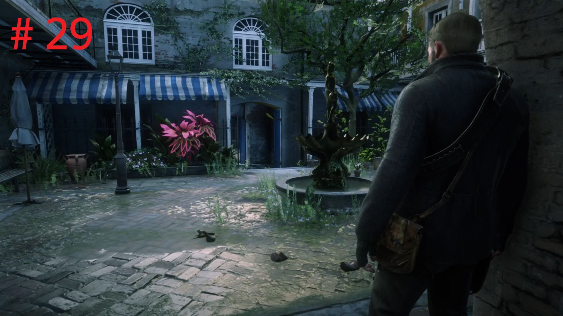 Red Dead Redemption 2 # 29