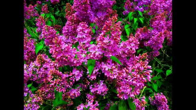 Библия и жизнь. Моя аудиокнига. Часть № 134