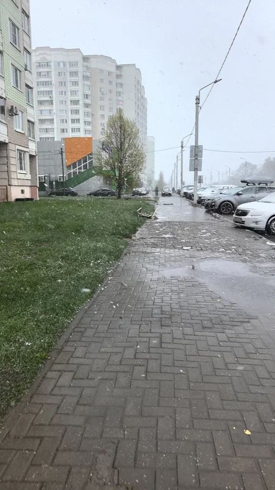 В такую погоду свои никуда не ходят, да и чужие дома сидят #27апреля #снег #тверь #веснавРоссии