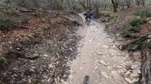 Поездка в Геленджик март 2026г