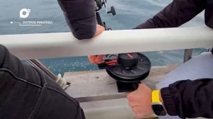 Разведка блогом / Неформат / РЫБАЛКА НА РИКОРДА / 27.04.26