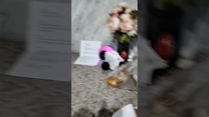 влог с басиками 🩷🩷/пьем  чай ☕🍵/Батон и Пирожок рассказывают о себе??? /приятного просмотра ❤️🔥