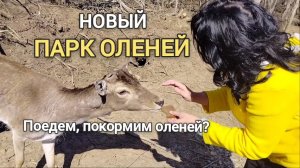 Дикая природа Крыма