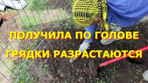 58.Краснодарский край, Получила по голове.Насыпали песчаные дорожки.