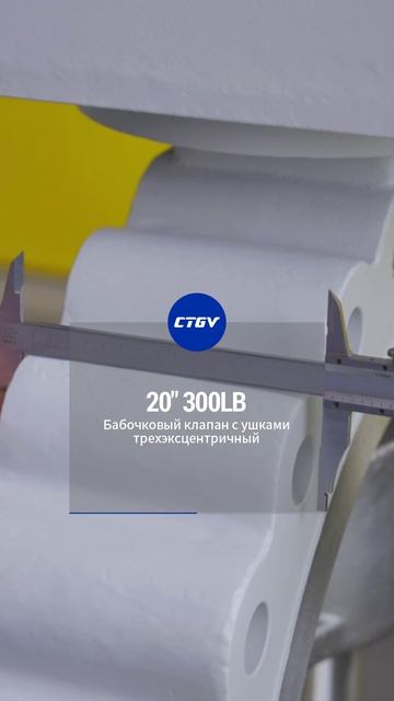20''300LB Поворотный дисковый клапан с ушками и тройной эксцентриситетом-CTGV-2