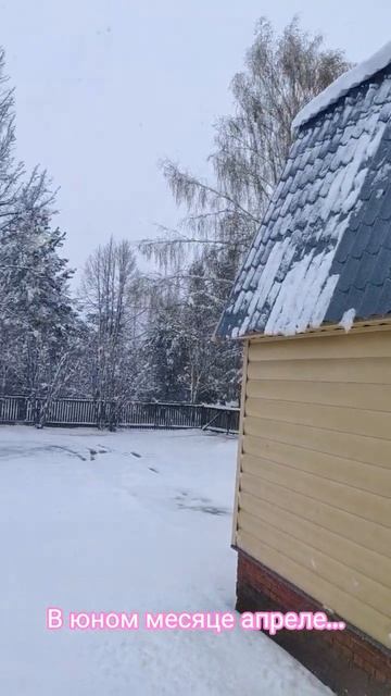 Вот такая погода в апреле