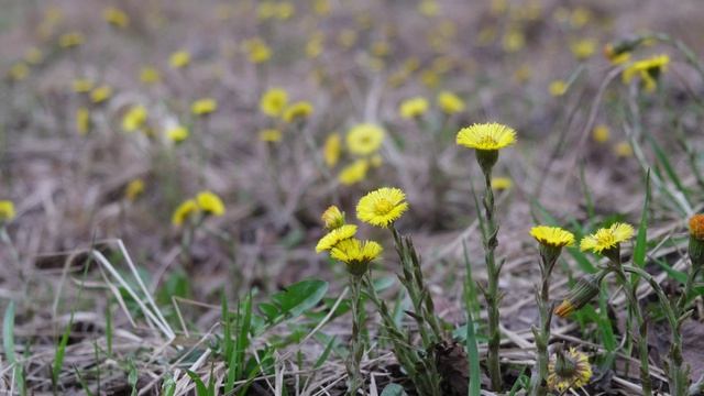 Весна в Москве 16 04 2026