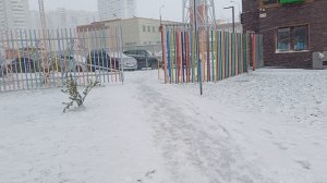 27 апреля. Апрель, ты в своем уме?! Завалило по колено. Подмосковье.