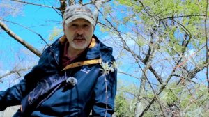 Я снял это в Анапе: лошади, парк, история отшельника и Canon 50mm f/1.8