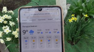 Жара закончилась! Похолодало... Обзор погоды и огорода 27 апреля 2026. Что уже высадила?