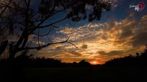 Яичные котлеты с карри и обжаренной окрой.