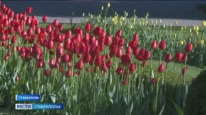 «Вести. Ставропольский край» 27.04.2026 (21.10)