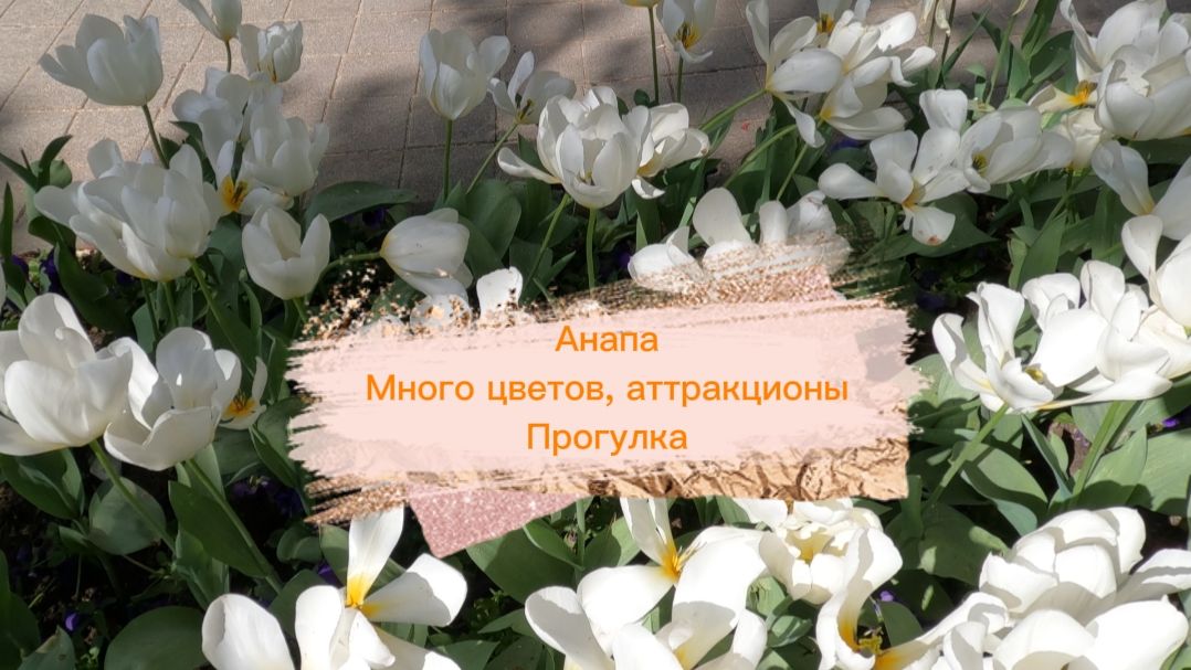 Анапа. Много цветов, аттракционы. Прогулка