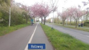 Holzweg