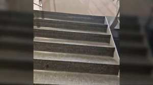 Как нас найти в Химках