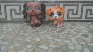 КАК ОТЛИЧИТЬ LPS ОРИГИНАЛ ОТ ФЭЙКА?