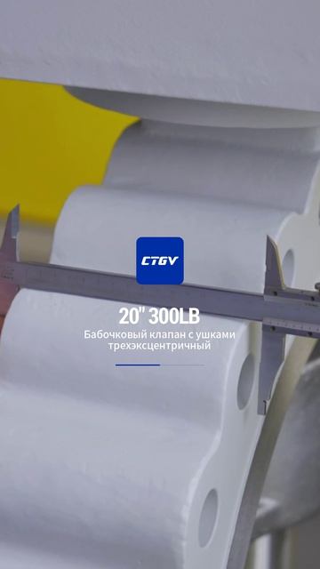 20''300LB Поворотный дисковый клапан с ушками и тройной эксцентриситетом-CTGV-2