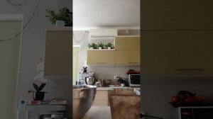 Переложила тесто в форму и отправила на расстойку 🍞