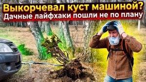 Дачный день сурка: почему мусора всегда много?