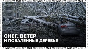 Снег, ветер и поваленные деревья: Москва переживает апрельскую непогоду — Москва 24