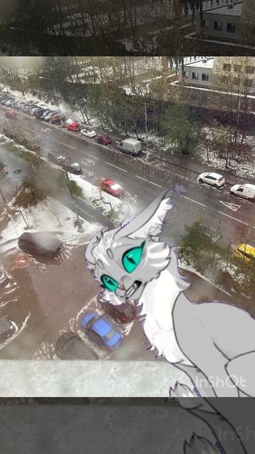 Ыыыыыыыыыы за чтооооо ?